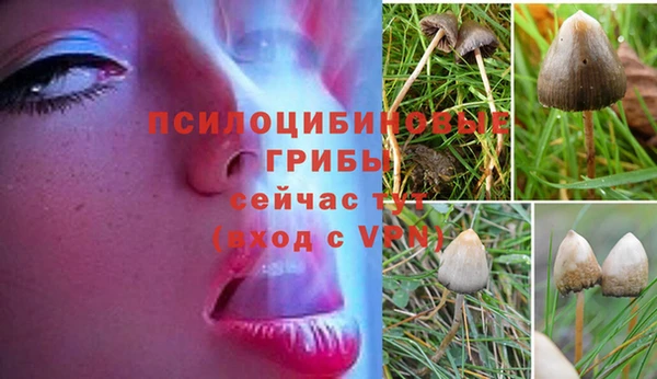 наркотики Гусь-Хрустальный