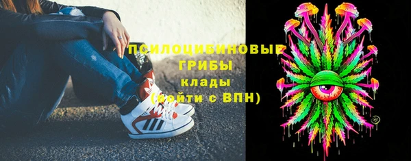 каннабис Гусиноозёрск