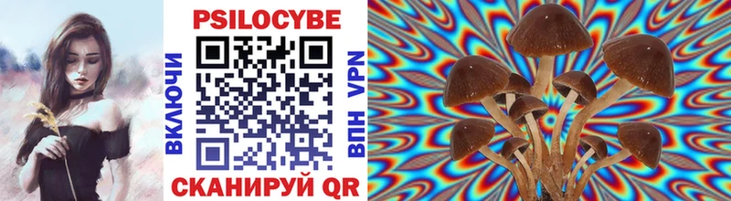 Псилоцибиновые грибы Psilocybe  Купить  Зуевка 